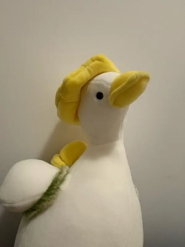 Monsieur Duck - Image 6