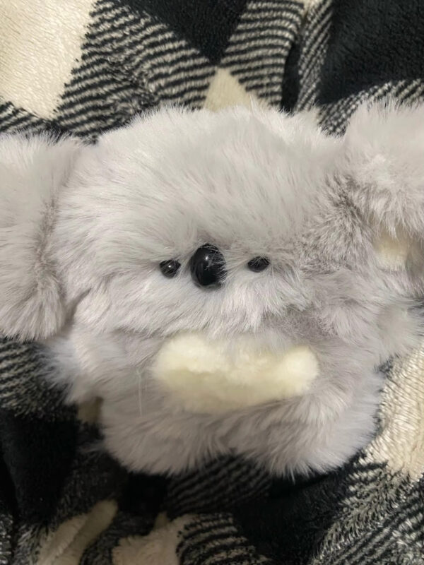 Koala Plush Earphone Case - Image 3